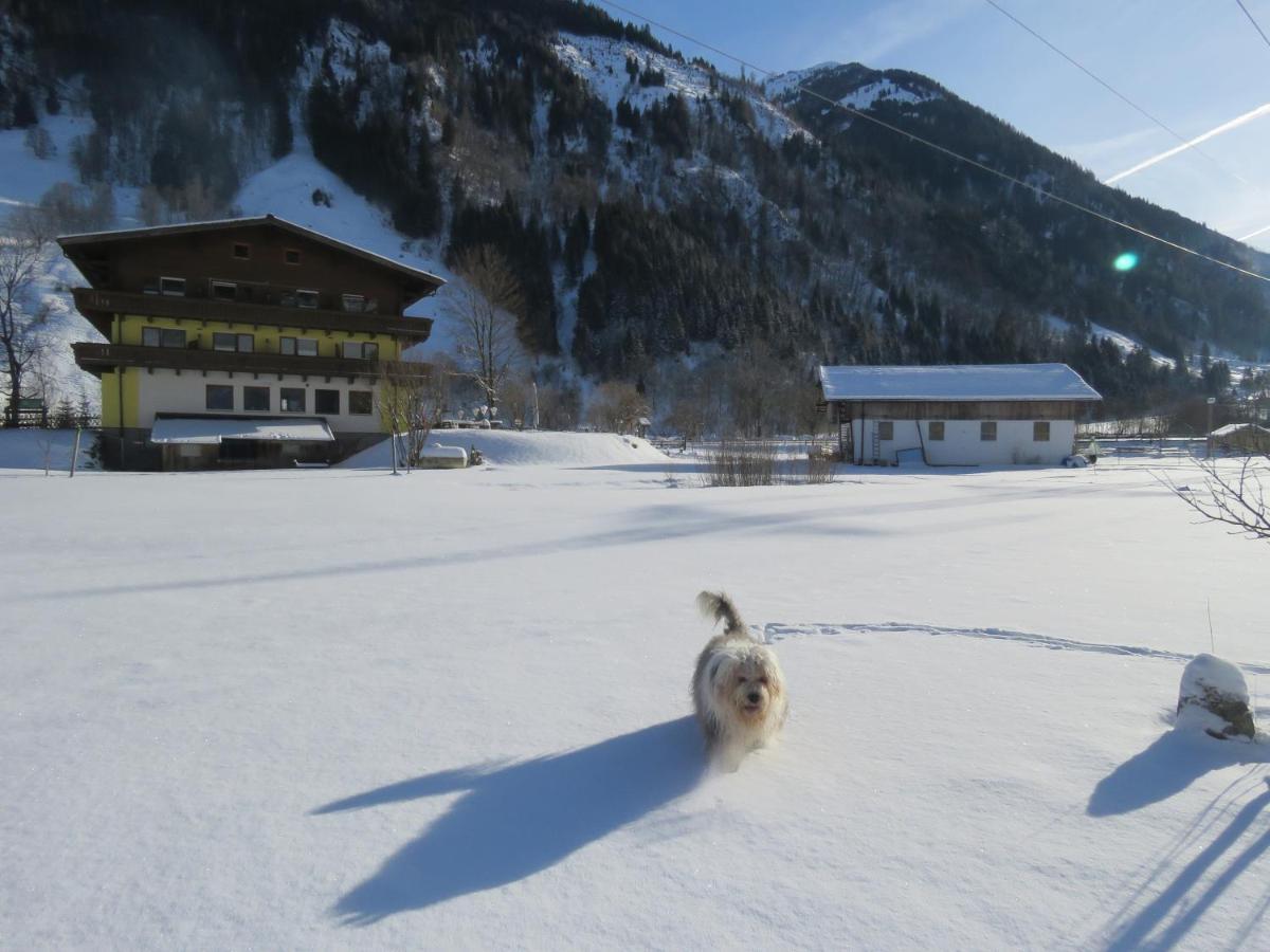 Alpenhaus Denver Uttendorf Luaran gambar